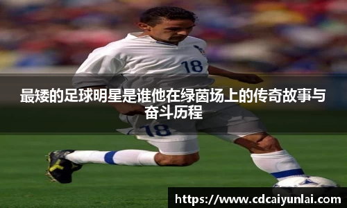 最矮的足球明星是谁他在绿茵场上的传奇故事与奋斗历程