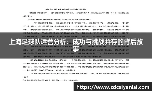 上海足球队运营分析：成功与挑战并存的背后故事