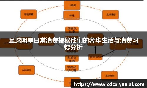 足球明星日常消费揭秘他们的奢华生活与消费习惯分析
